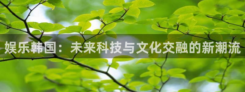 安信12注册登录