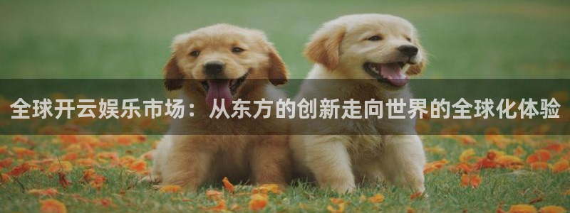 安信12最新版本更新内容