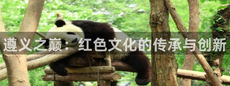 安信12登录入口官网