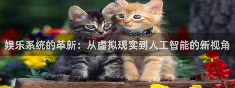 安信12登陆