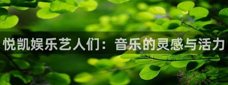安信12最新版本更新内容