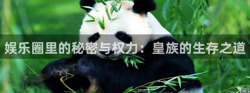 安信12平台登录注册
