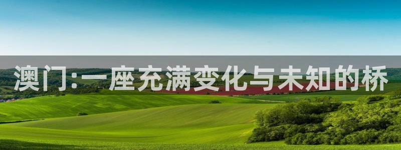 安信12平台