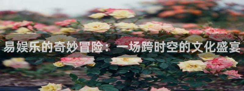 安信12